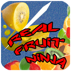 Real Fruit Ninja ikona