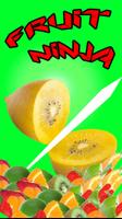 Real Fruit Ninja plakat