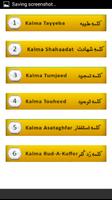 Islamic Tuhfa ( Six Kalmas) captura de pantalla 1