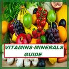 Vitamins & Minerals Guide - Hindi icône