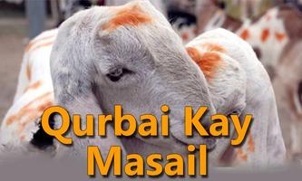 Qurbani Kay Masail poster