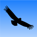 Lucidate APK