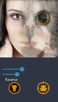 Tiger Face Morphing screenshot 2