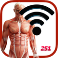 Human WiFi