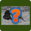 Animal Tiles 2016 APK