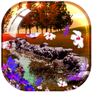 Our Nature Live Wallpaper APK