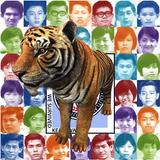 Keathwa Tiger icon