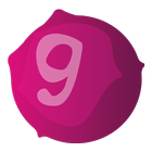 Planet 9 Aplikacija icône