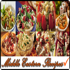 Middle Eastern Recipes ícone