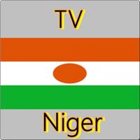 TV Niger Info capture d'écran 2