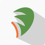 Oasis Education by Tymk