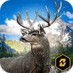 Deer Hunting Big Challenge 3D