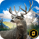 American Hunter: Big Buck 3D H APK