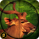 Animal Hunting Wild Adventure  APK