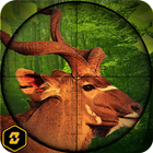Animal Hunting Wild Adventure  biểu tượng