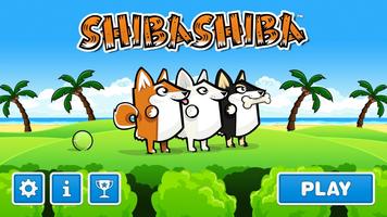 Shibashiba Affiche