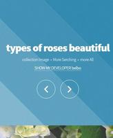 types of roses beautiful 포스터