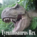 Tyrannosaurus Rex Sounds APK