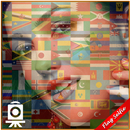 Flag Selfie APK