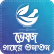 ভেষজ উদ্ভিদ ও ঔষধি গুনাগুন-Vesojo ousadhi gunagun