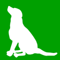 Taiwan Animal Adoption