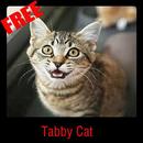 Tabby Cat APK