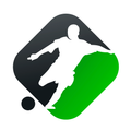 ”Tabela Futebol 2018 Brasileirão Estaduais Copa