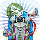 Dwarkadhish HD Wallpapers APK