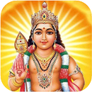 Lord Murugan HD Wallpapers APK