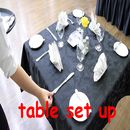 table set up APK