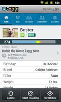 Tagg—The Pet Tracker™ Affiche