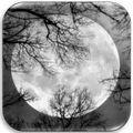 Moon Wallpapers