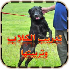 download تدريب الكلاب APK