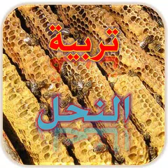 download تربية النحل APK