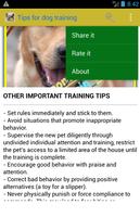 improve your dog training पोस्टर