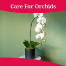 How To Care For Orchids APK