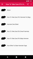 How To Take Care Of A Hamster скриншот 1