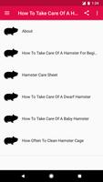 How To Take Care Of A Hamster screenshot 1