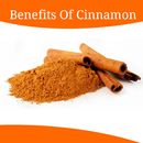 Health Benefits Of Cinnamon APK