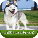 تربية وتدريب و ترويض الكلاب APK