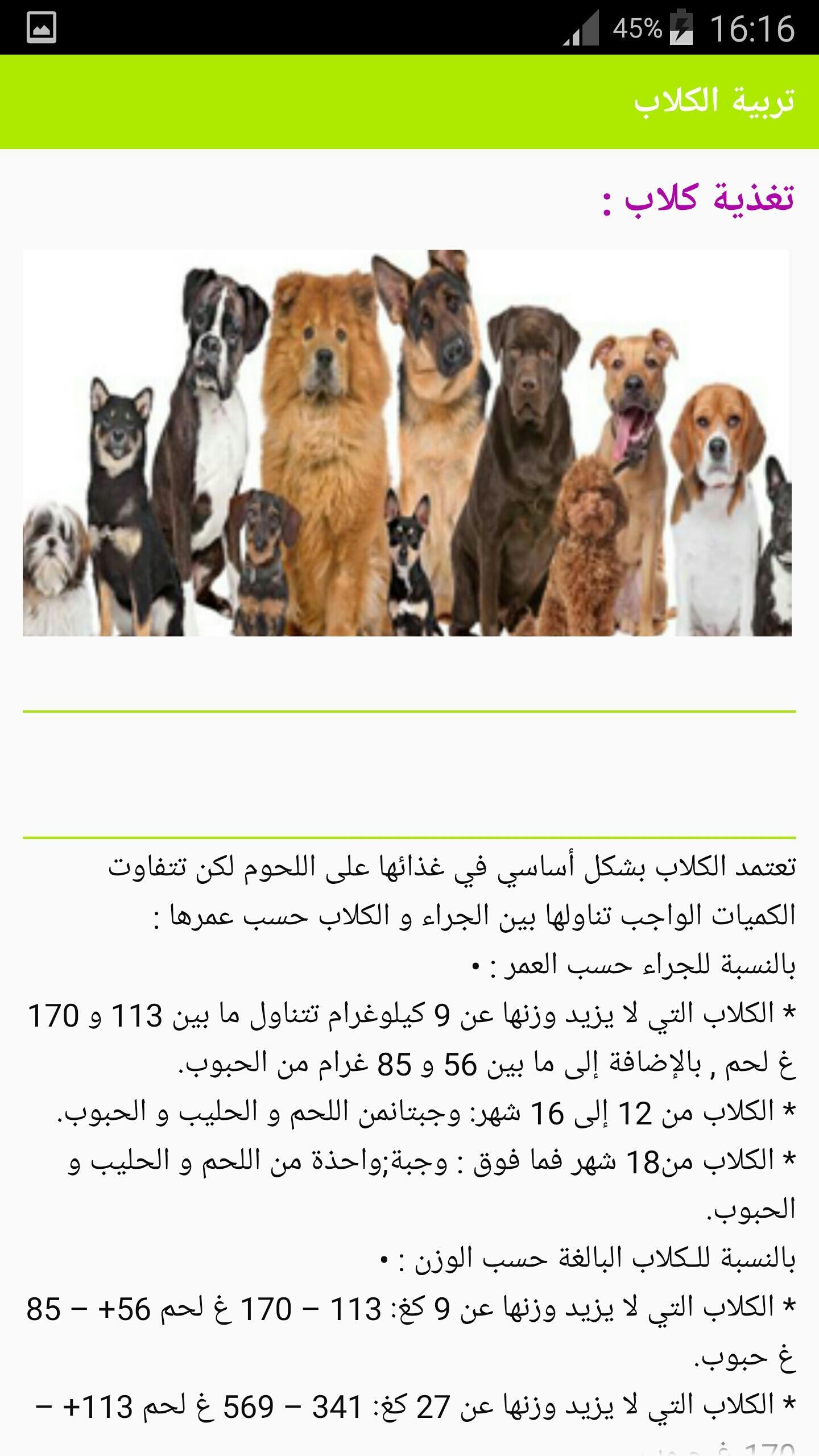 غرامي مستنقع عشيرة قبيلة تربيت الكلاب حلال ام حرام Sjvbca Org
