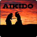 APK Aikido