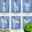 Best Taekwondo Training Strategy-APK