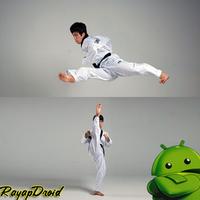 La mejor estrategia de entrenamiento de Taekwondo Poster