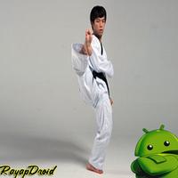 Best Taekwondo Training Strategy capture d'écran 2