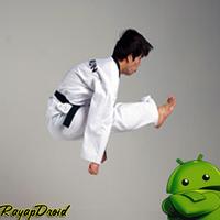 Best Taekwondo Training Strategy capture d'écran 3