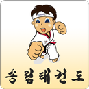 송림태권도(하기동)-APK