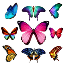 APK Butterfly Garden Sticker Book
