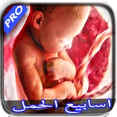 download اسابيع الحمل - وجنس الطفل APK