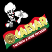 Caesar SR4